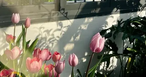 天气回暖，医生叮嘱脑梗患者：宁可静坐养神，也别轻易做这4件事