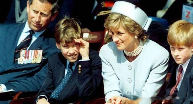 威廉王子对哈里王子已经“恨之入骨了”？