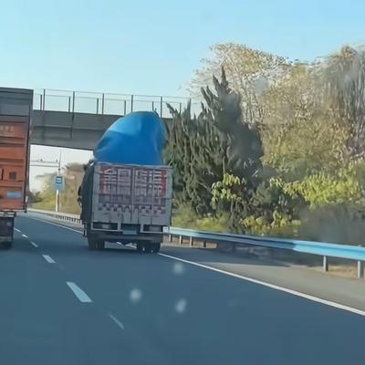 花儿朵朵1992：瞧它嘚瑟那样儿，一定是