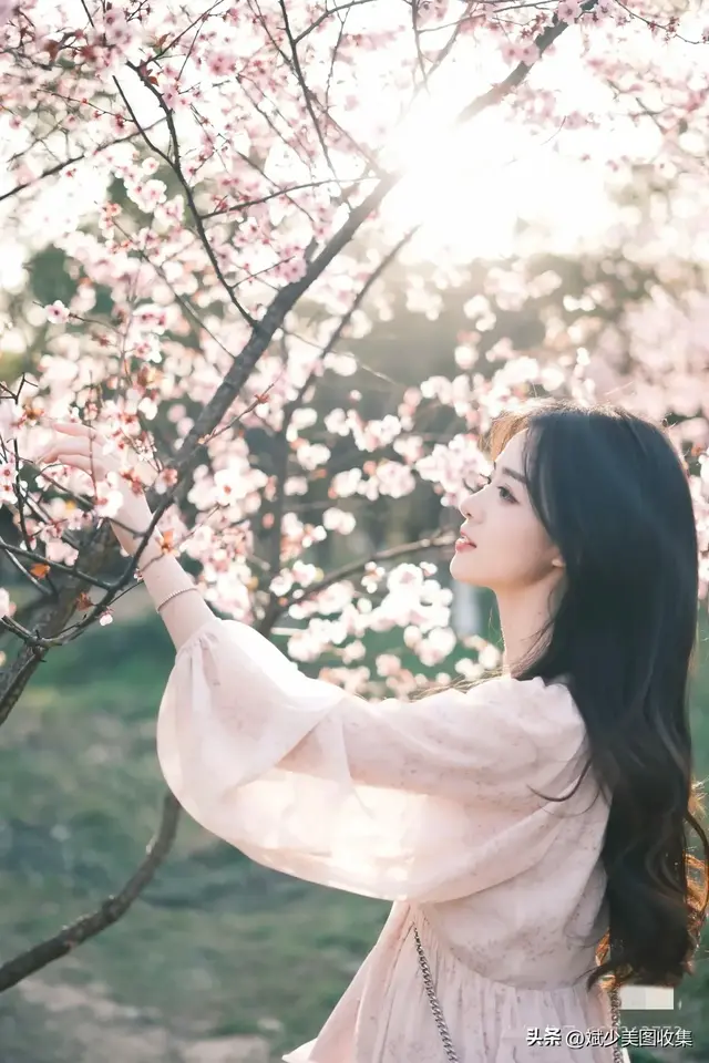 你喜欢赏花的季节吗