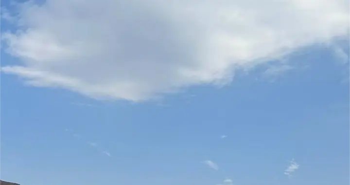 消费与医药：“黄金坑”还是“无底洞”？