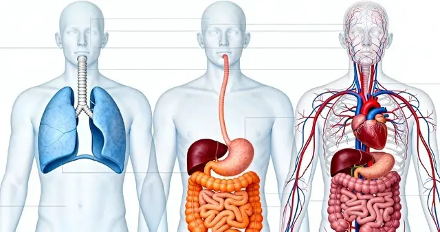 改变世界的百大科技57——人体解剖