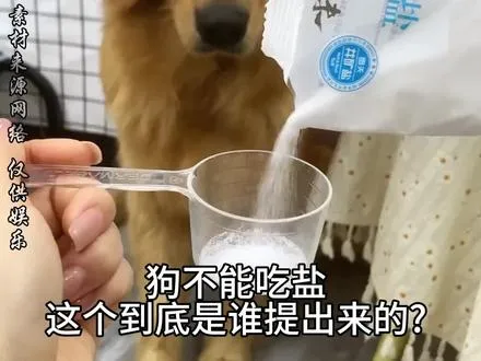 狗不能吃盐这个到底是谁提出来的?
