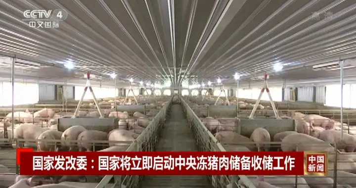 猪肉跌到比菜便宜，国家反而坐不住，紧急收储，便宜不一定是好事