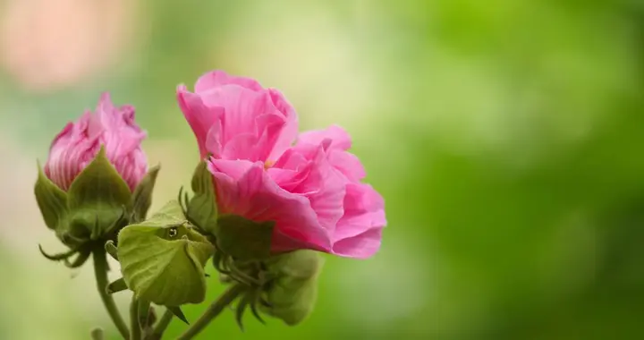 一个女人疯狂爱你，是没法“忍住”的