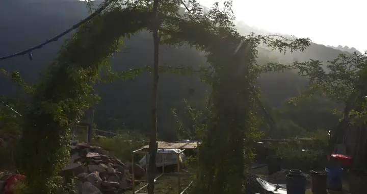 经过99八十一关，终于穿越虎喊沟