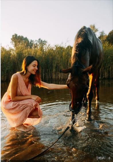 you can lead/take a horse to water...