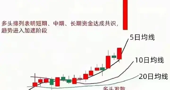 “五日线穿二十，不跑就归零”：我用四年亏损换来的交易教训