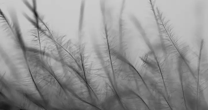 作为一名交易员，如何向内求？