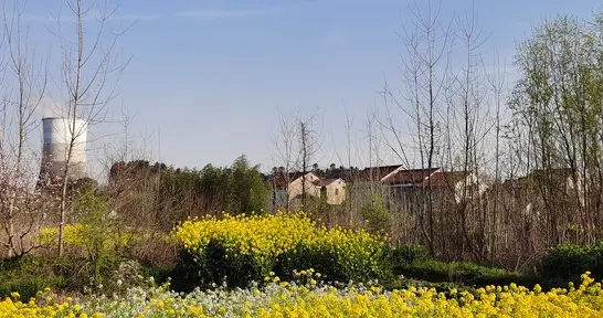 "老好人"注意：你的没边界，正在喂养一群吸血鬼