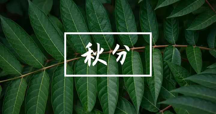 秋分不简单！除了昼夜平分，背后竟藏着这些天文秘密？