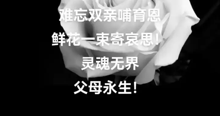 七律.丙午清明祭父母