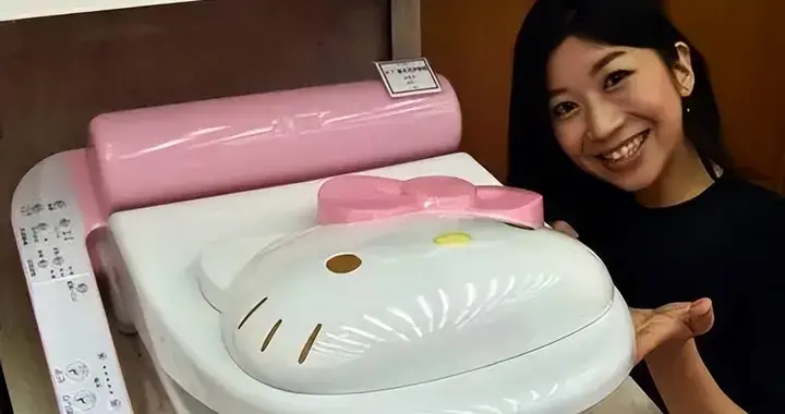 日本才卖得动“音姬”，揭示女性如厕秘密，将女性自然现象神秘化