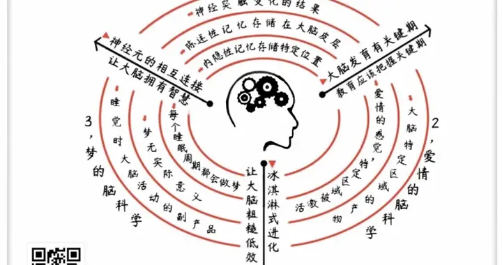 《进化的大脑》大脑低效落后的罪魁祸首，是......