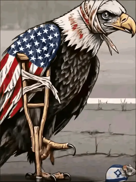 用中华利剑：鹰将：小胡，你好自为之吧！