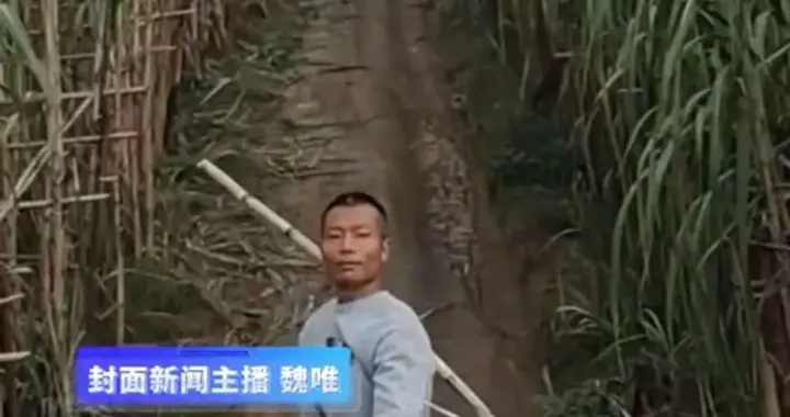 “偷甘蔗”爆火又翻车：创意农业的流量狂欢与现实考题