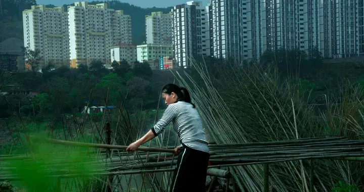 《90后姑娘辞掉白领工作返乡种地，一年后活成了自己想要的模样》