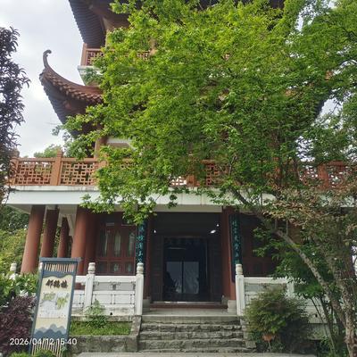 光是马：武昌区黄鹤楼，青山区邻鹤楼，都在