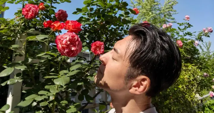 美男子严屹宽晒沉浸式撸花的一天，评论区炸出一群凡尔赛花友