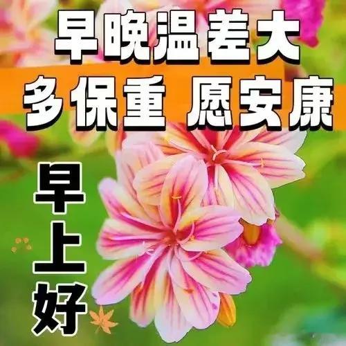 周末早上好！非常漂亮的周六早上好暖心温馨问候语图片带字12张