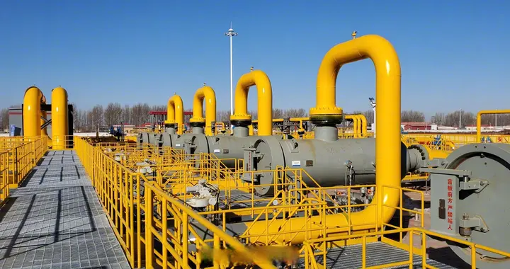 同样的制裁，不同的结局：俄罗斯靠什么扛住了制裁，而伊朗不能？