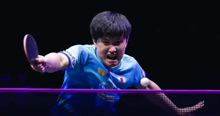 太稳了！张本智和4-0勒布伦，日本3个四强席位，国乒输得没脾气