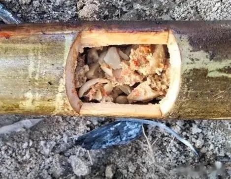 颈动脉干净，不生病！