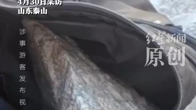 看晓天下事：无知者无畏！山东泰安，一女子