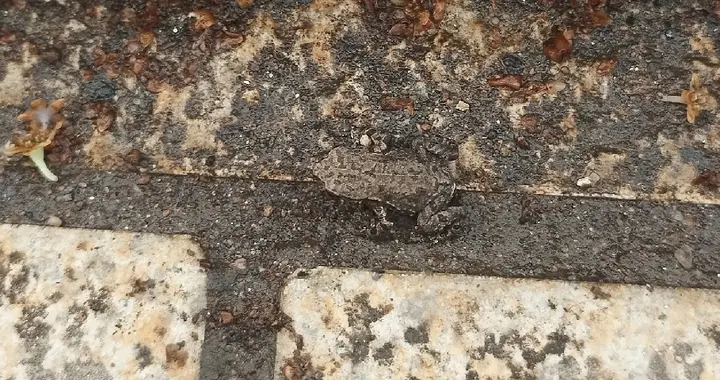 顶级心态培养