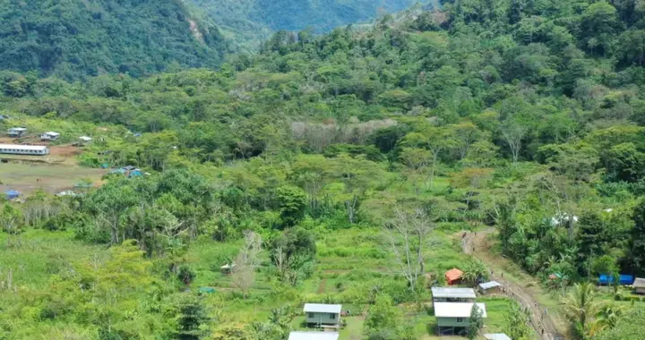 你想来巴新旅游，我建议你不要浪费钱