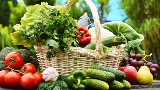 相对于持续少吃，间歇性断食能更有效地促进肠道有益菌群增加