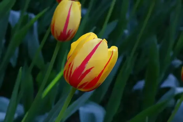 男性断崖式衰老的4大征兆，熬夜才排第二，第一个很多人都忽略