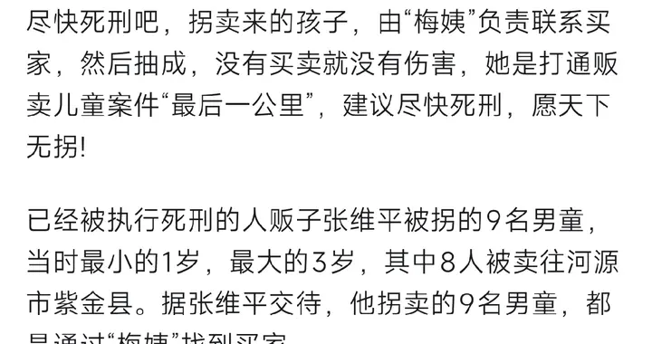 人贩子梅姨落网