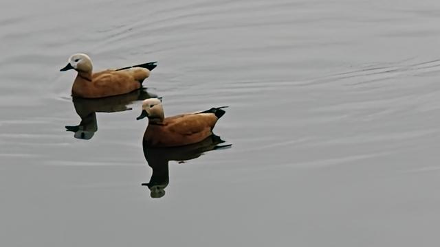 不爱钓鱼爱围观：世界会不会毁灭？不要认为