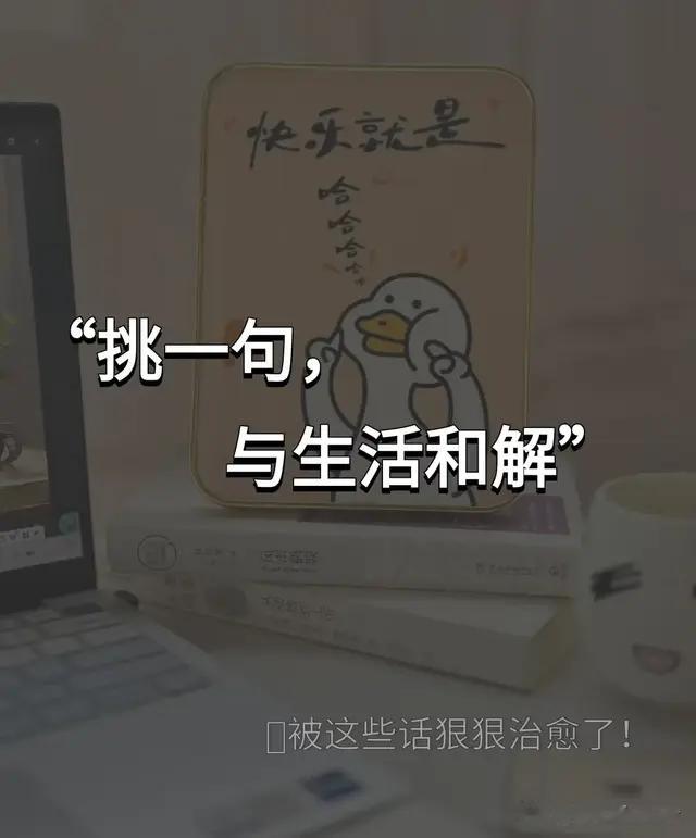 挑一句，与生活和解