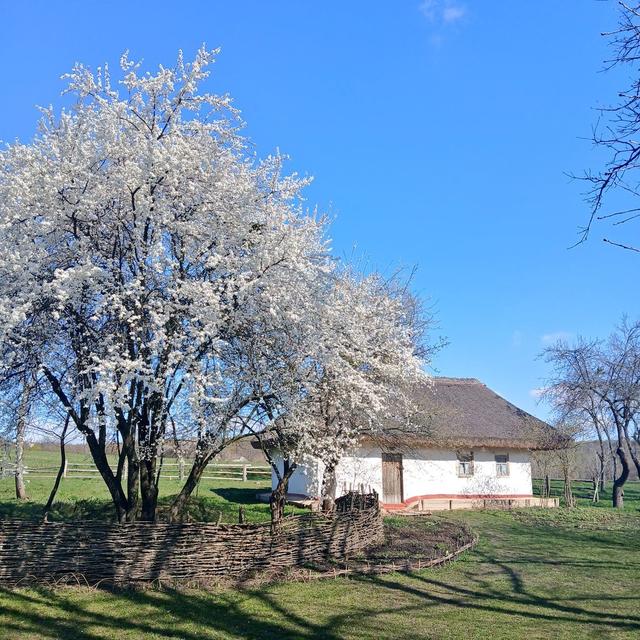 大宗商品：动荡格局中如何表现