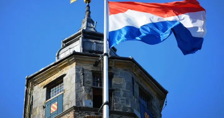 荷兰抢走300亿公司，却把本体留给了中国！反杀太解气了