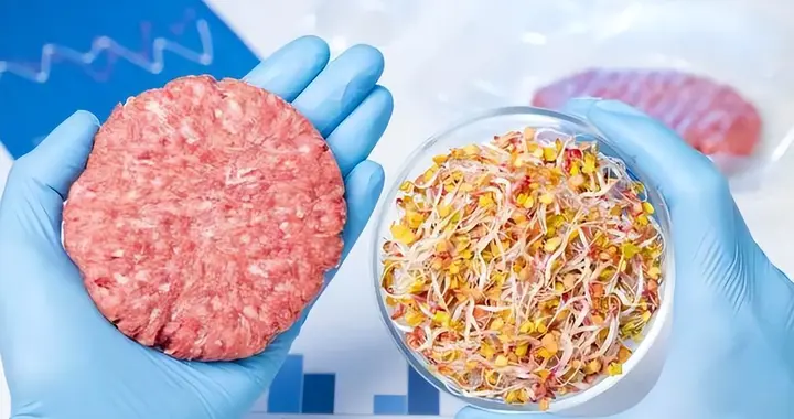 无肉的未来：二十年后，我们的碗里或许一块肉都没有了？