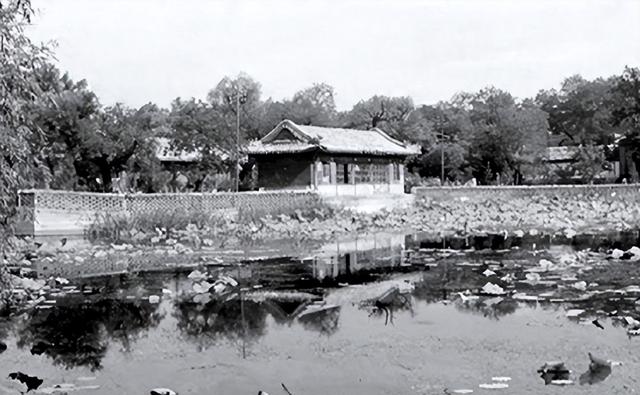 74年女演员田伶陪毛主席看电影，提到前妻杨开慧， 毛主席泪流满面