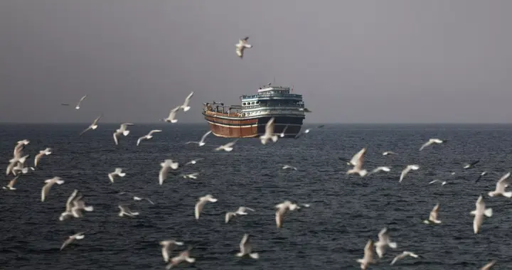 中东局势骤变，首个“受害者”出现，日本有一项关键原料告急