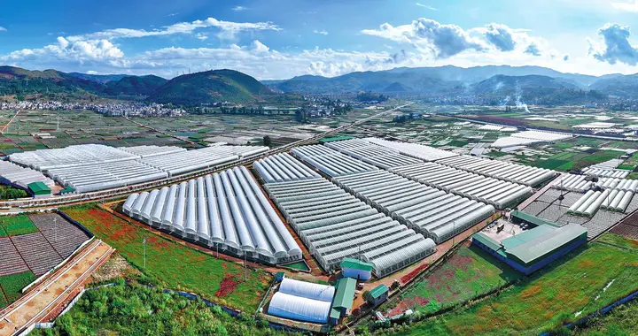 温室大棚连续 19 年写入中央一号文件！国家为什么这么重视？