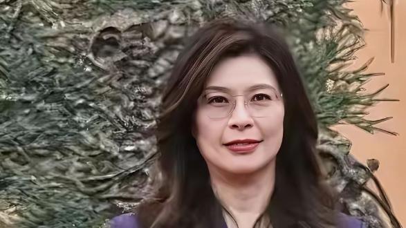 黑色纵谈：瞒不住了！郑丽文访陆，台湾县市