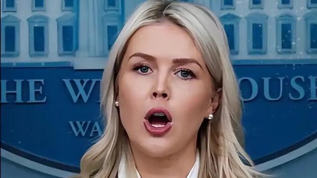 白玫瑰：白宫传来消息， 4月11日，白宫