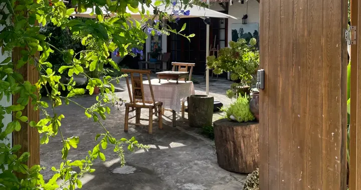 有一种高级，叫“院子里的烟火气”