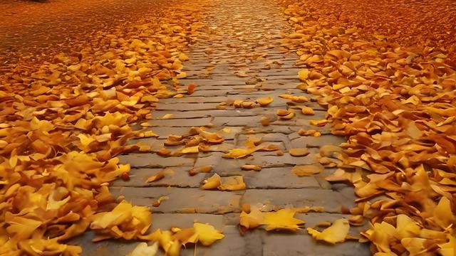 菡姐畅谈：：九秋风露洒芳草，邀请下