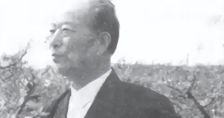 他判刑13年至死未平反，10万人送行墓前立百碑，百姓说不能忘了他