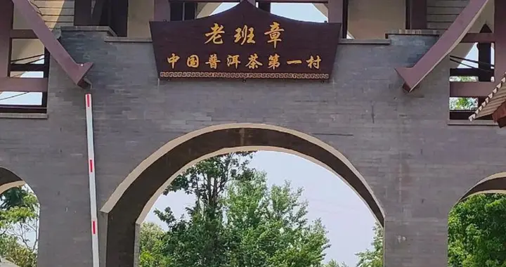 揭秘云南十大名山古树茶：老班章霸气，冰岛甜如蜜，你喝过几种？