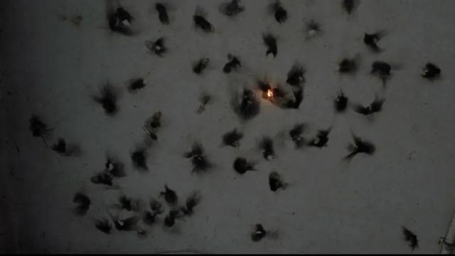 从钟睒睒喊话平台，谈红旗原则：天下苦算法久矣