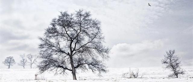 再生障碍性贫血|“感冒、流感怎么治”系列（一）：外感“寒邪”初期的辨治规范
