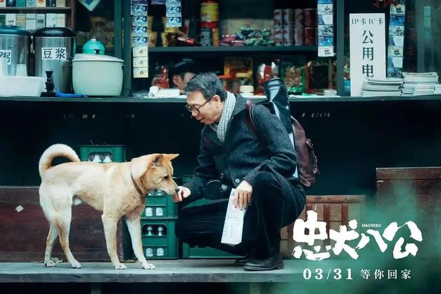 《忠犬八公》：人不如狗？看完这部电影我相信了！